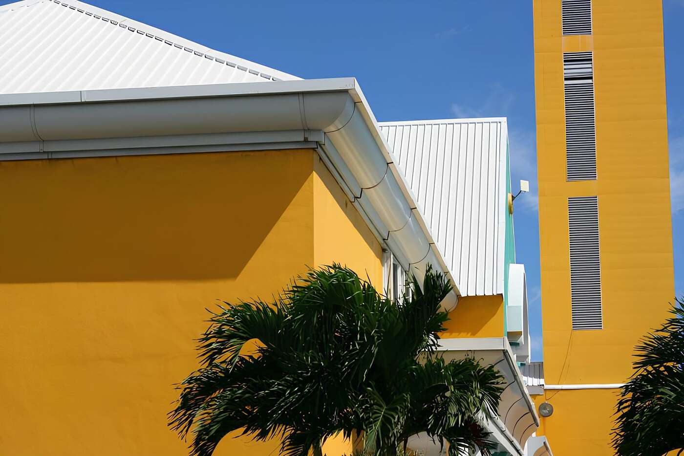 The eave of a yellow stucco building with palms behind it