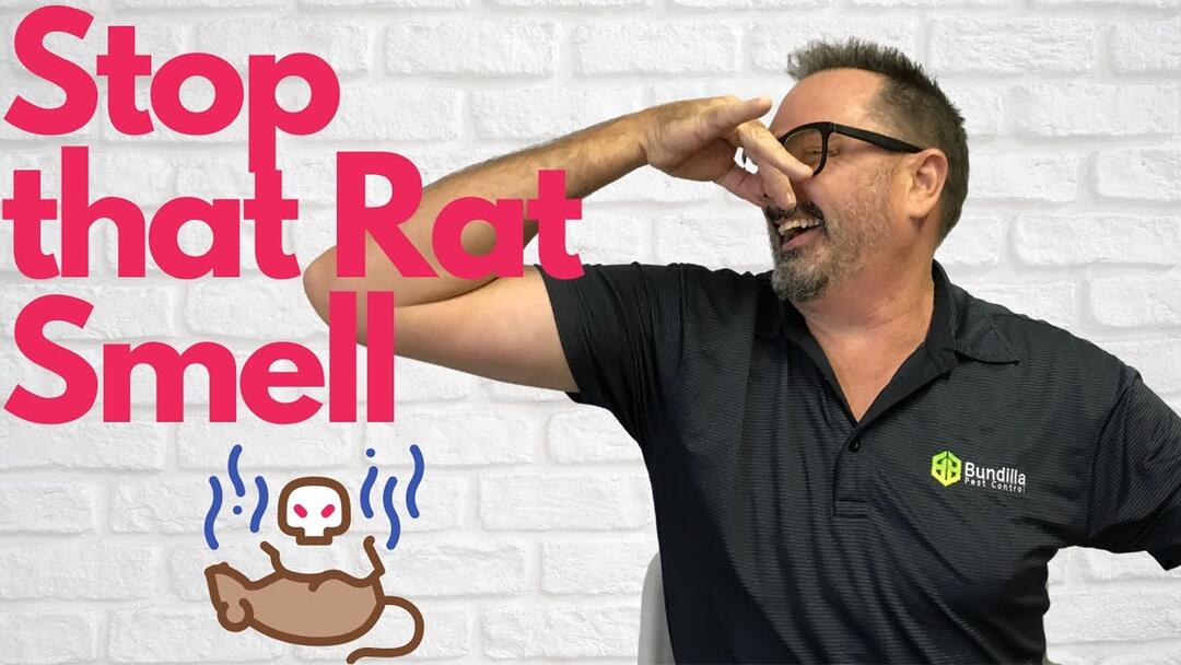 Video preview: Get rid of that dead rat smell
