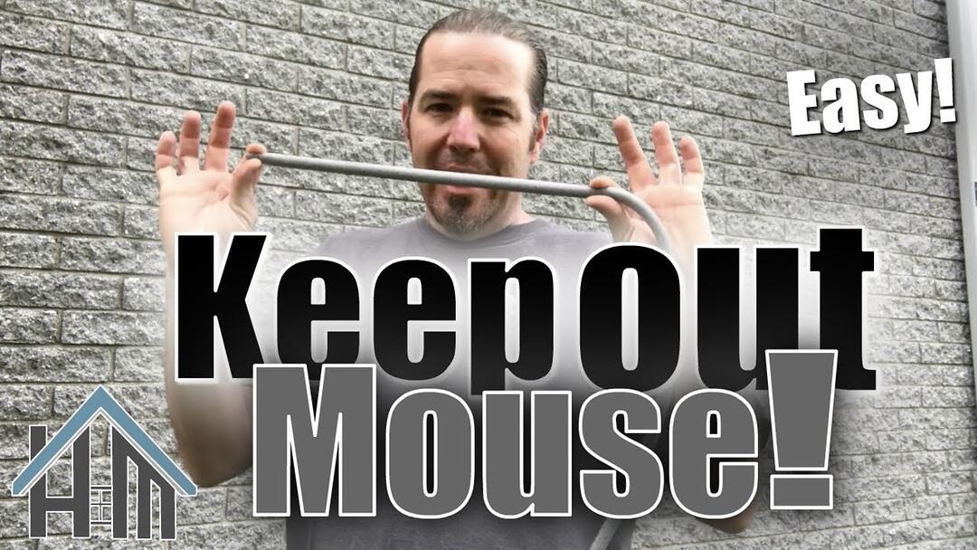 Video preview: How to keep out mice and other pests: sealing up the exterior